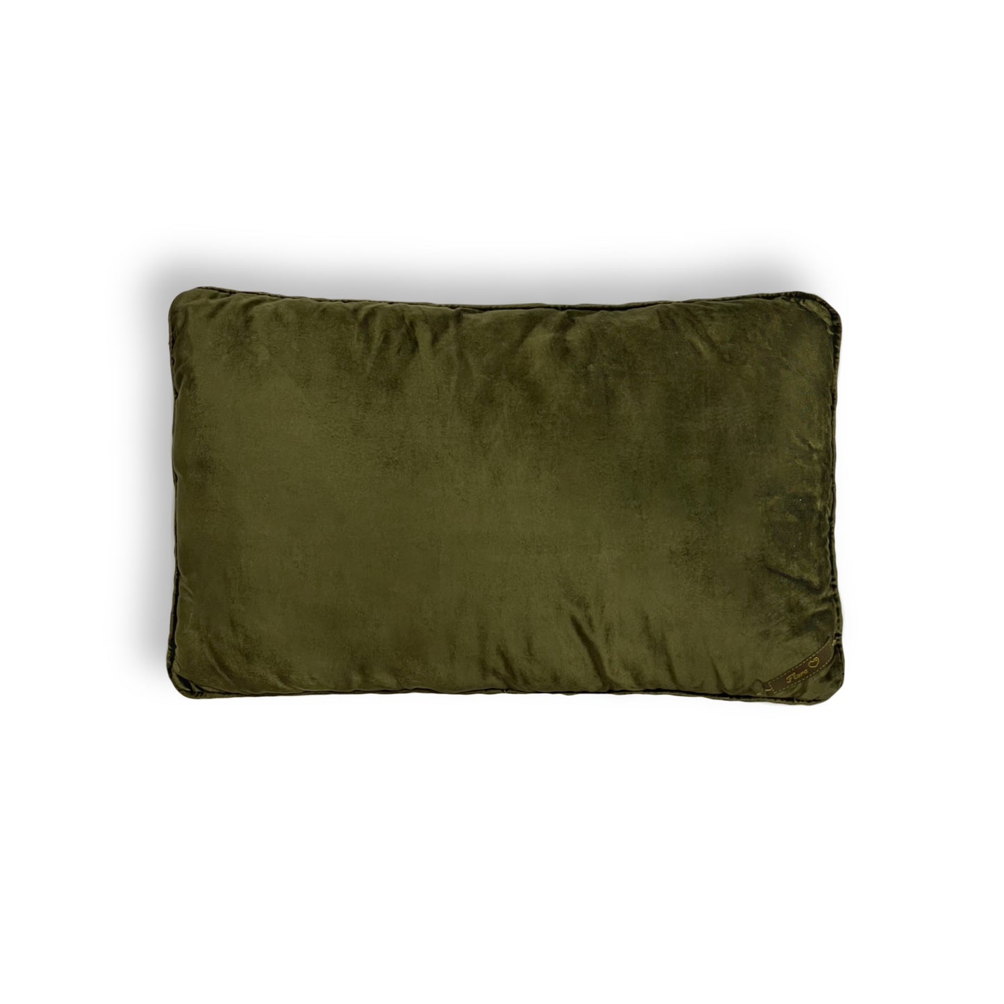 Green Velvet Pillow