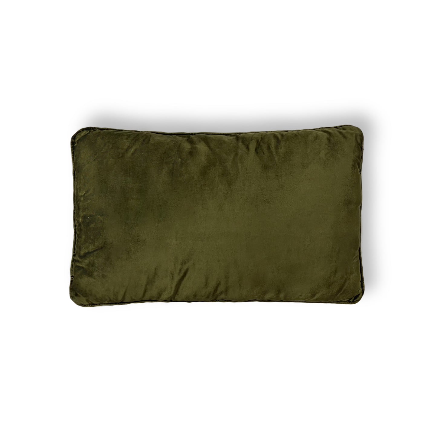 Green Velvet Pillow